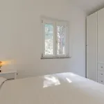 La Lucciola - Helloelba بيت للعطل